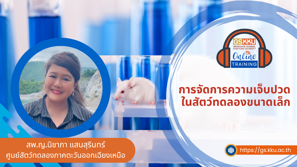 GSKKU-การจัดการความเจ็บปวดในสัตว์ทดลองขนาดเล็ก